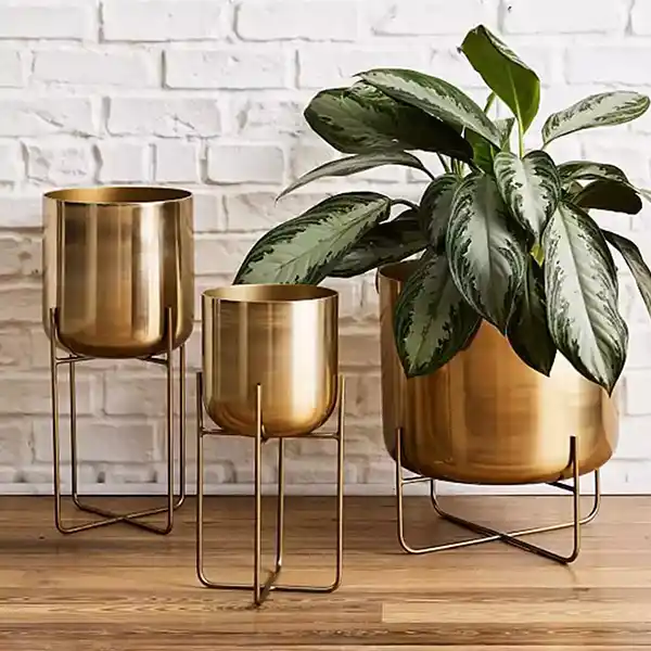 Decor